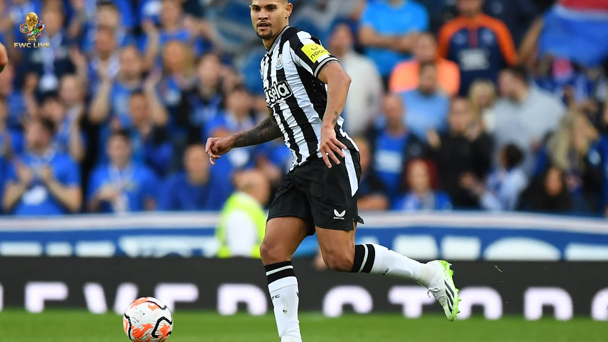 Arsenal Bruno Guimaraes Tonali Transfer Interest Grows