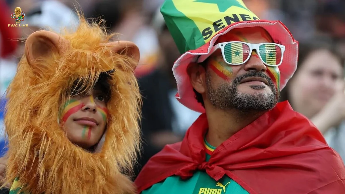 Senegal Iraq Live Updates Track Knockout Hopes