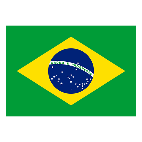 Brazil logo