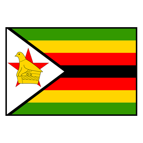 Zimbabwe Women logo