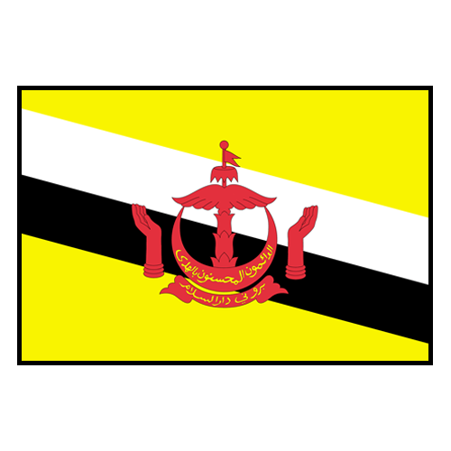 Brunei logo